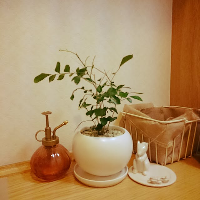 i-r-kさんの実例写真