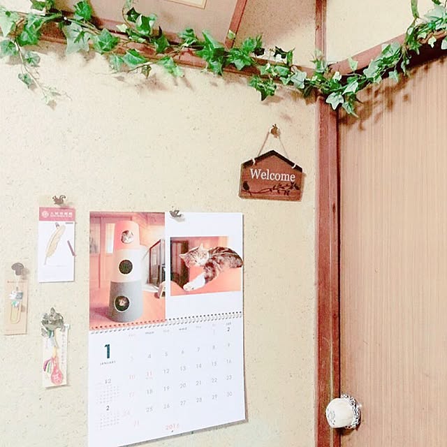 mentuyuさんの実例写真