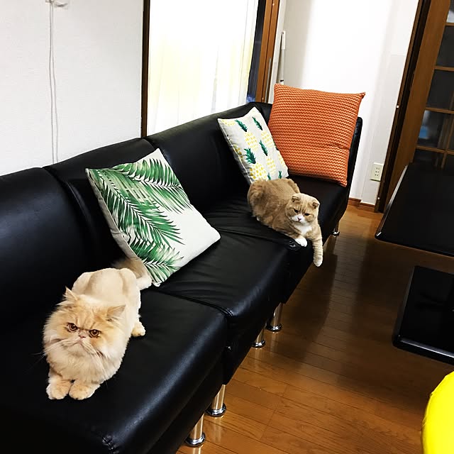 yumi.0627さんの実例写真