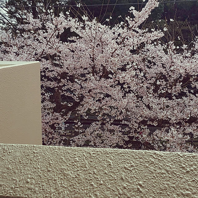 yuuu7712さんの実例写真