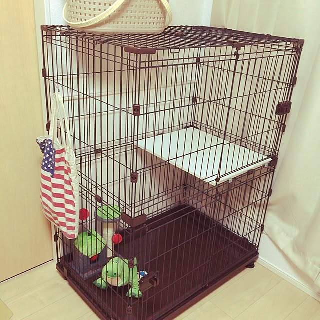 karintoさんの実例写真