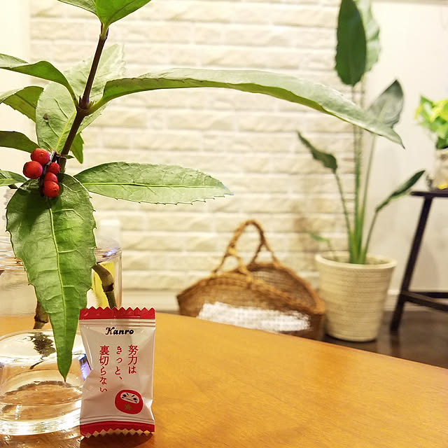 SHIROさんの実例写真