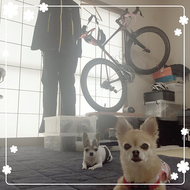 Emiさんの実例写真