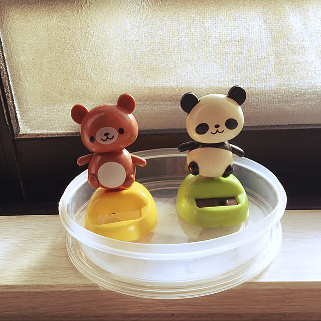 kazuさんの実例写真