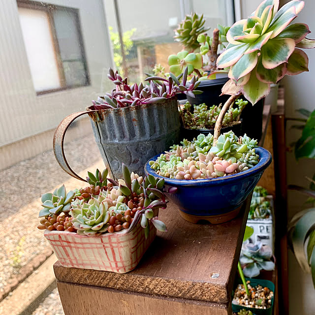 luluさんの部屋
