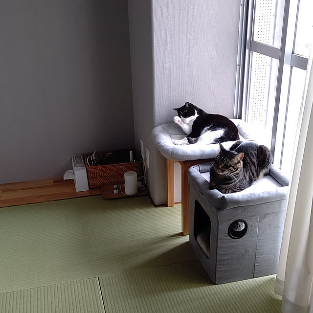 hihaさんの実例写真