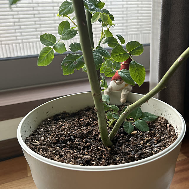 yunyumさんの部屋