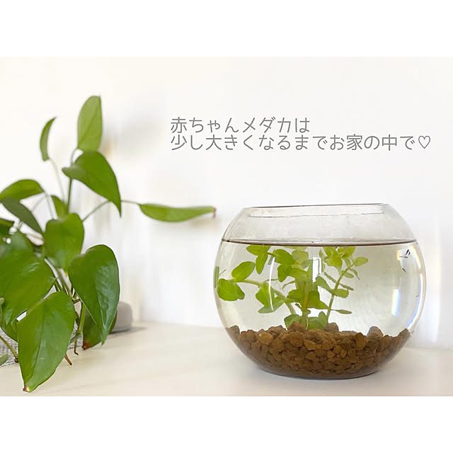 maaaako_homeさんの実例写真
