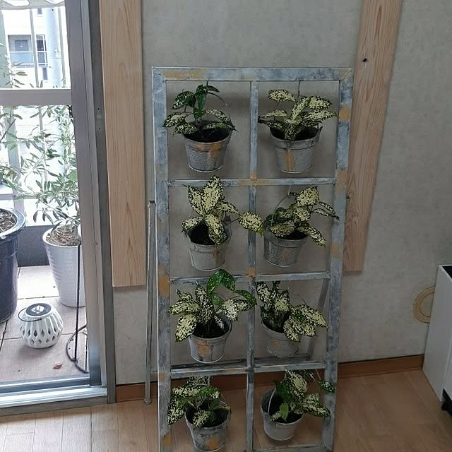 kunyさんの実例写真