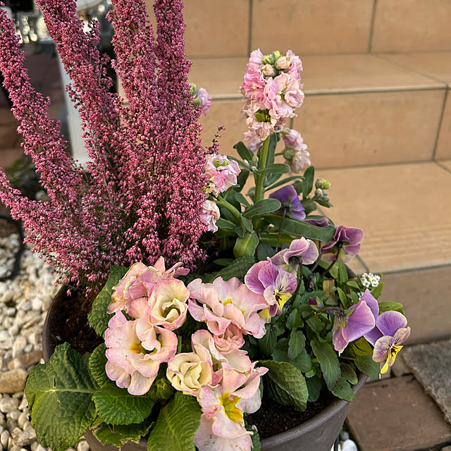 MeineLieblingssachenさんの部屋