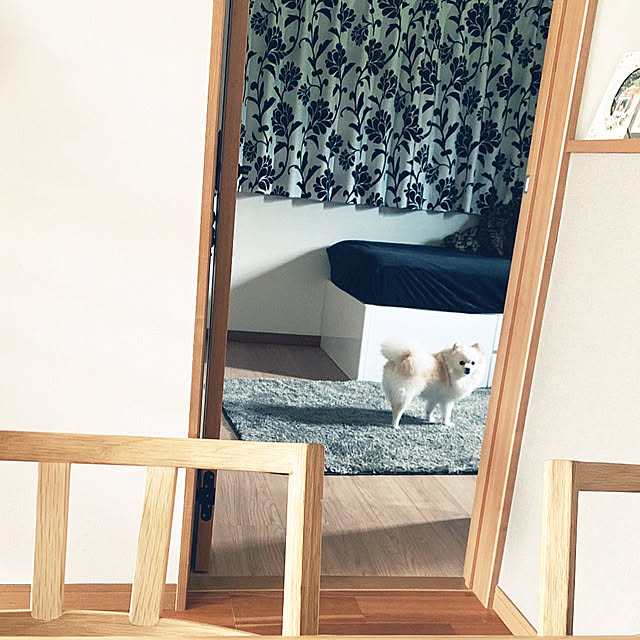 1546さんの部屋