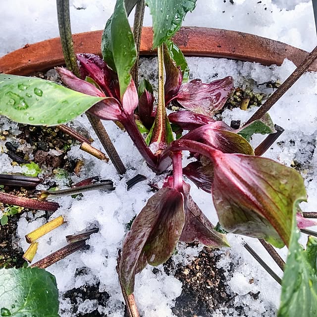 NSDさんの実例写真