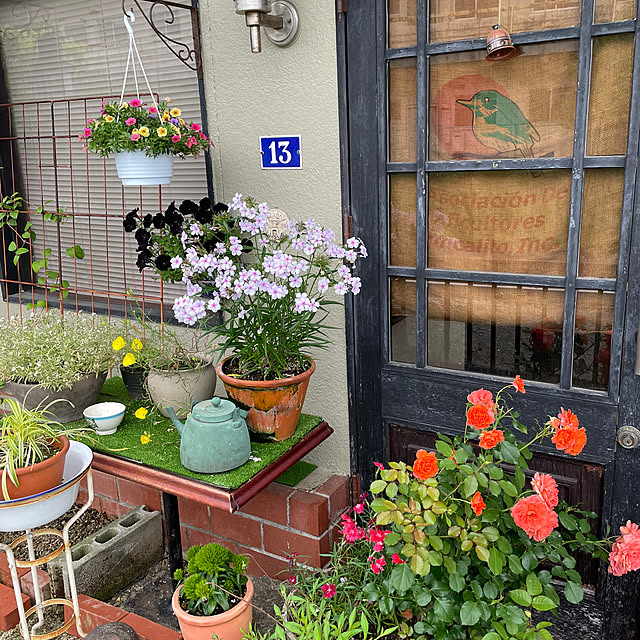 shin0719さんの部屋