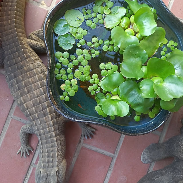 rhuさんの実例写真