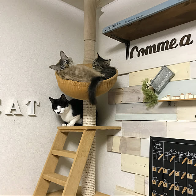 kazaneさんの実例写真