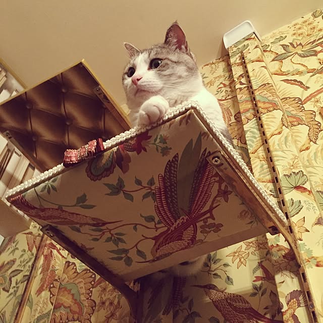 emmyyさんの実例写真
