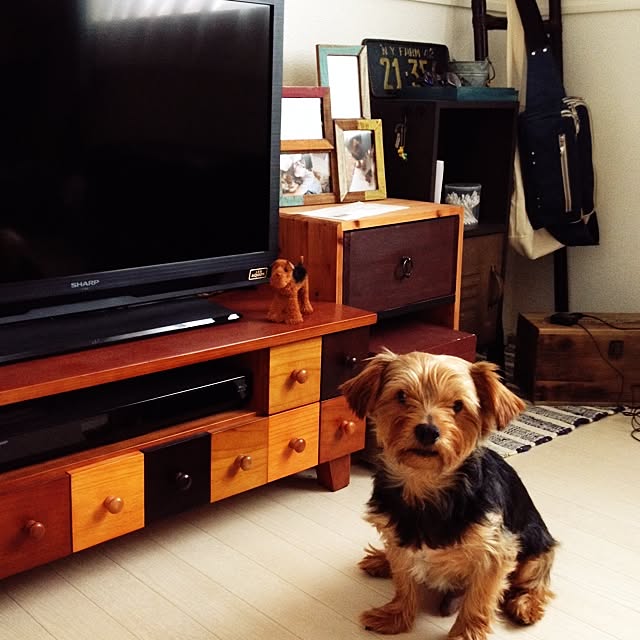 motihiroさんの実例写真