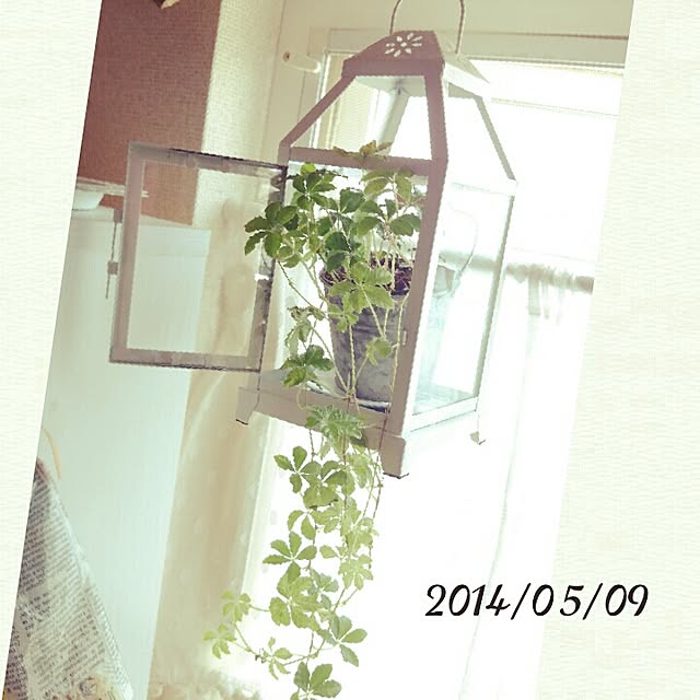 kira127さんの実例写真