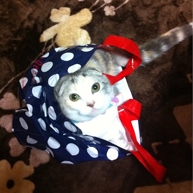 mtkさんの実例写真