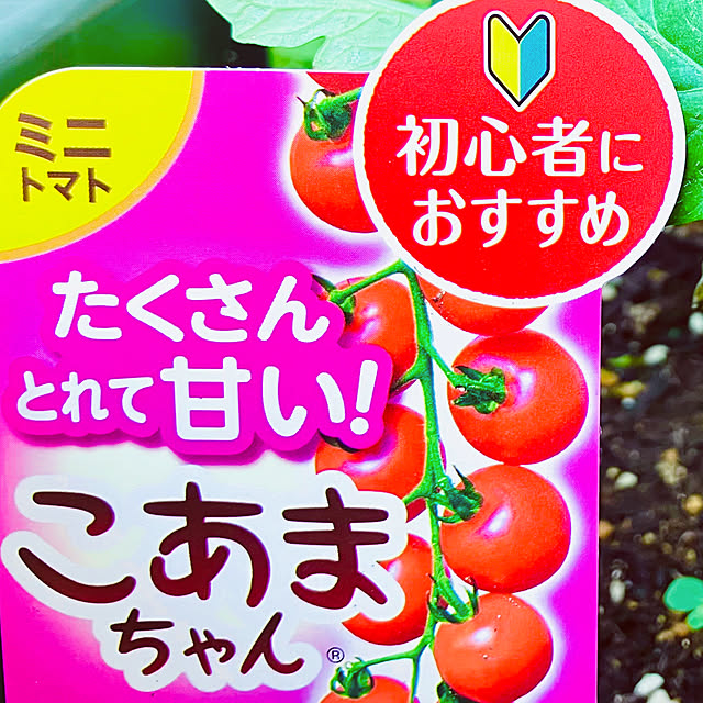 tinkunさんの部屋