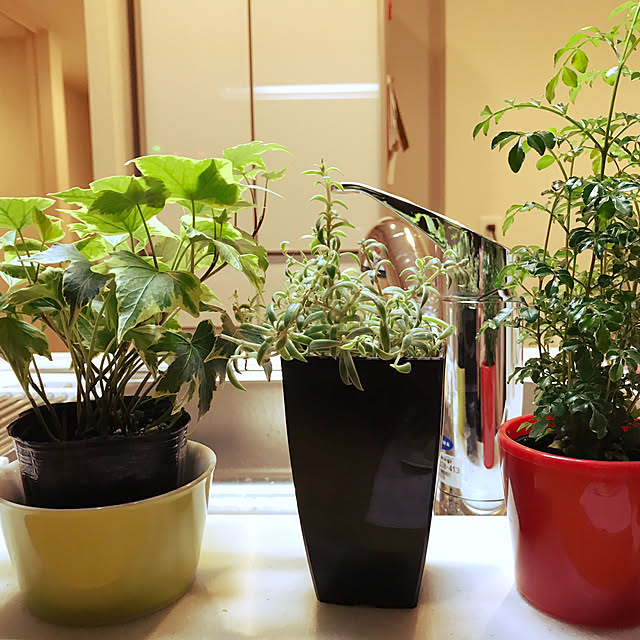 hiroさんの実例写真