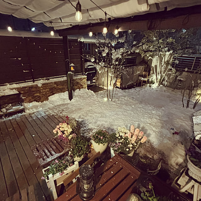 maimai0110さんの部屋