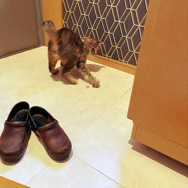 Mさんの実例写真