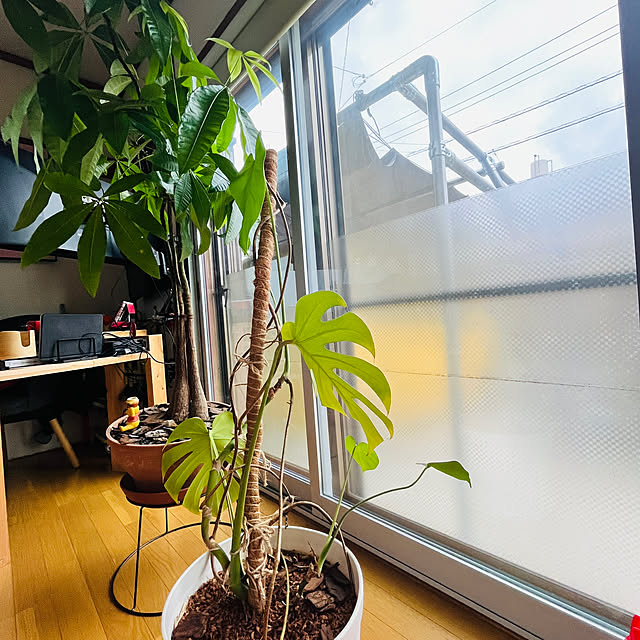 nobuさんの部屋