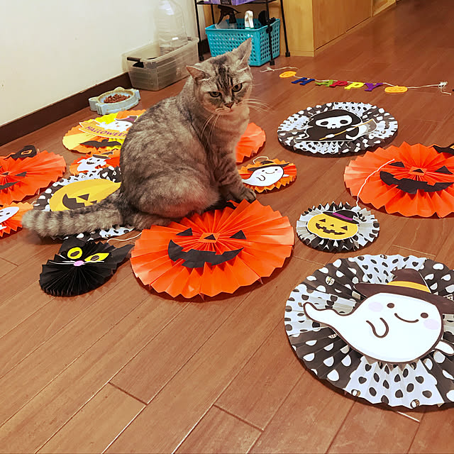 ダイソー/100均/ハンドメイド/部屋全体のインテリア実例 - 2019-09-16 22:47:22