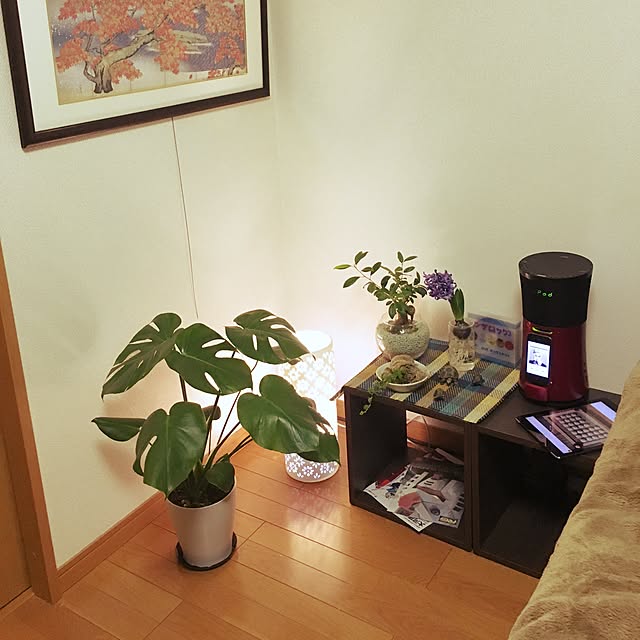 sadaさんの実例写真