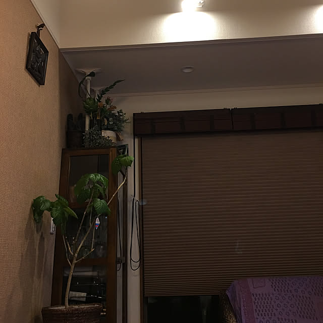 Kazukoさんの実例写真
