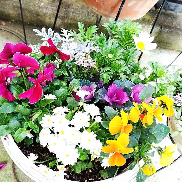 katさんの実例写真