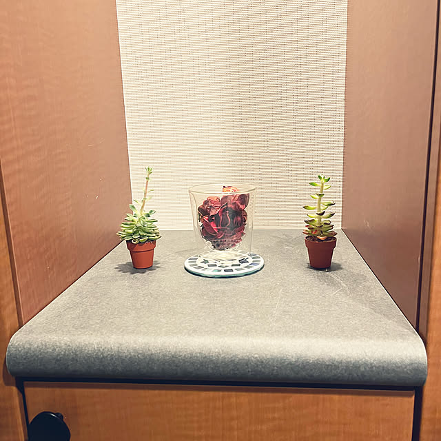 Marinaさんの実例写真