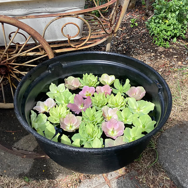 mamaさんの実例写真