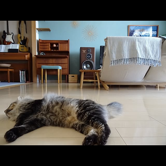 sachiblancさんの実例写真