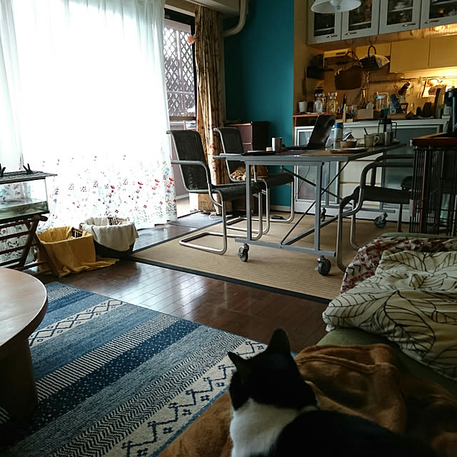 okyosan101さんの実例写真