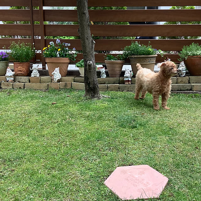 haruminさんの実例写真
