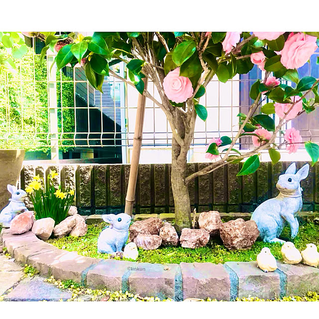 tinkunさんの実例写真