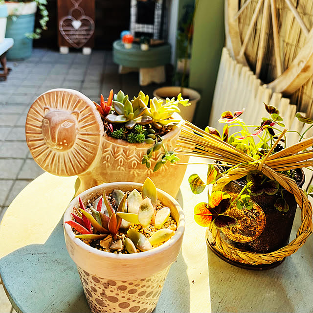 NAOさんの部屋