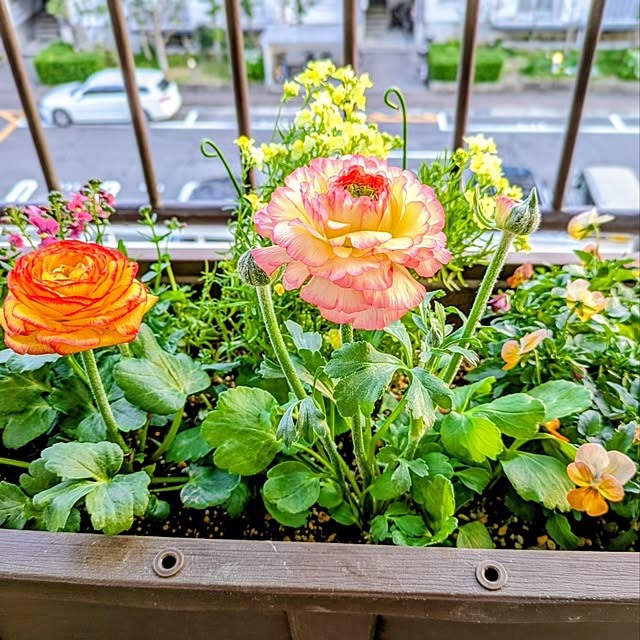 mi-saさんの実例写真