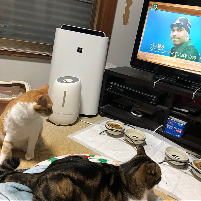 himawari123さんの実例写真