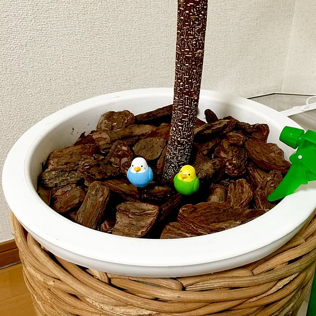 shirokinaさんの実例写真