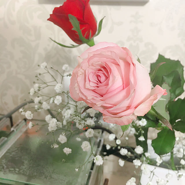 peco_travellerさんの実例写真