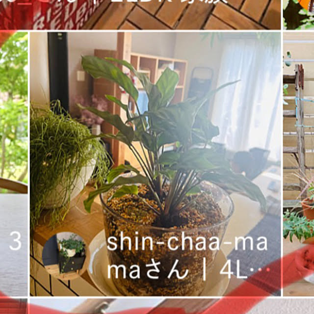 shin-chaa-mamaさんの部屋