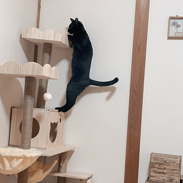 harukaさんの実例写真