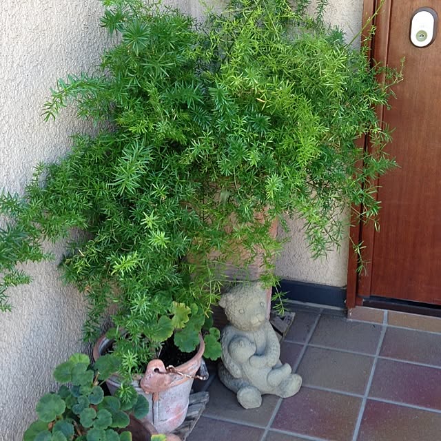 tomoさんの実例写真