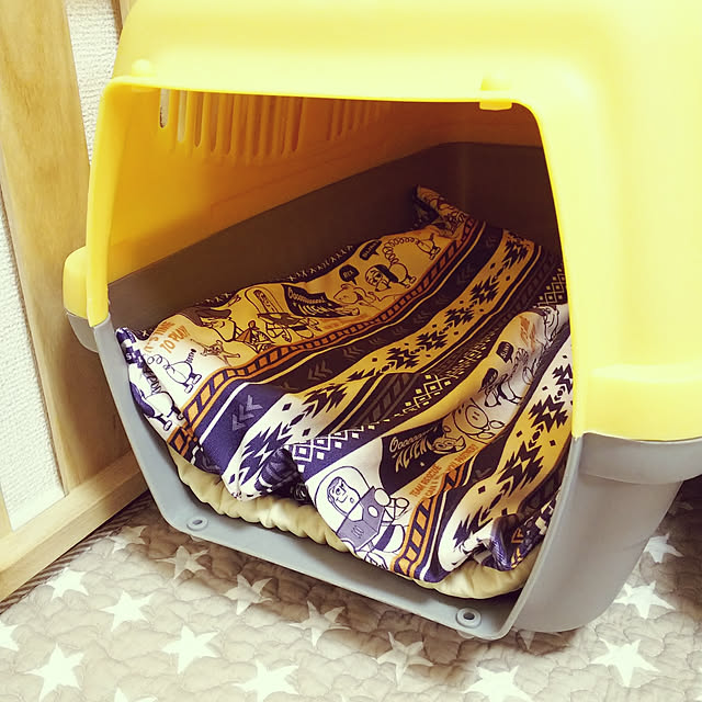moiさんの実例写真