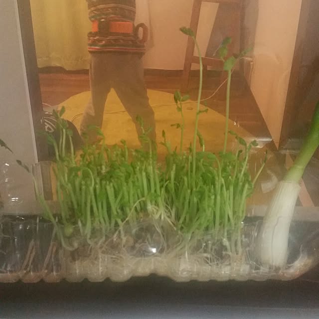 sukima1231さんの実例写真