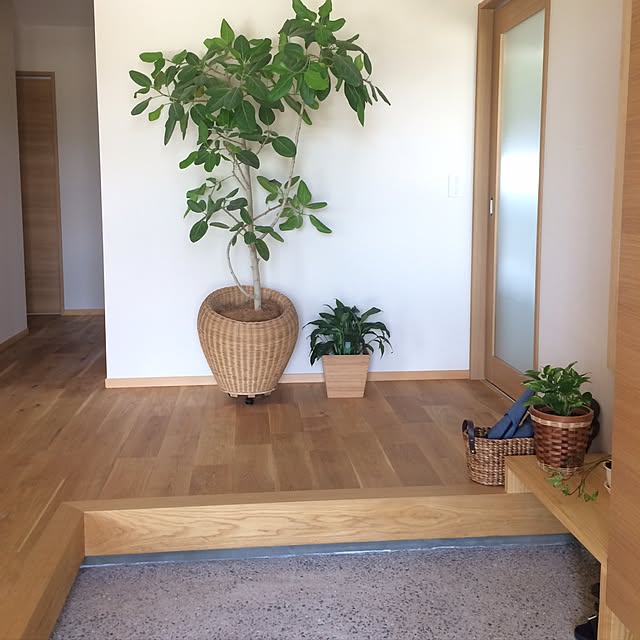 kunkunさんの実例写真