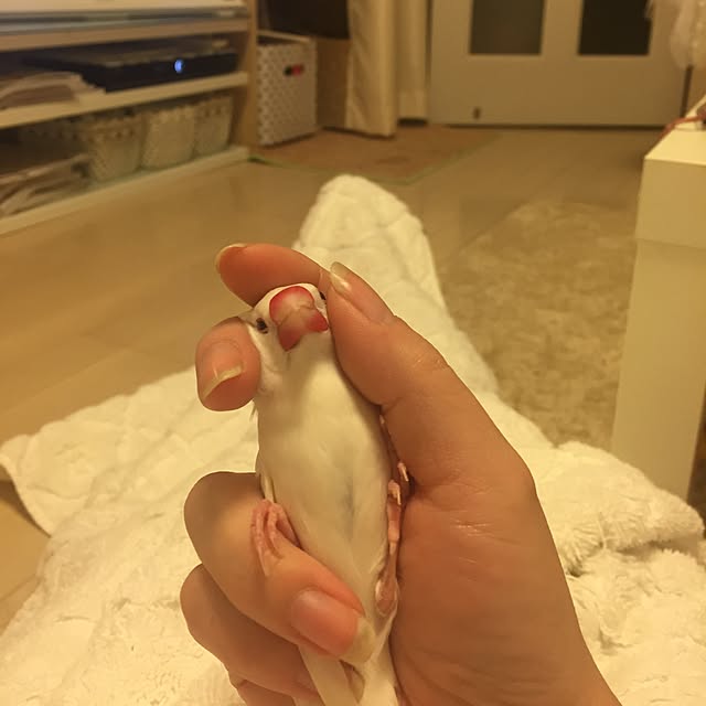 Marinaさんの実例写真